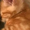Julia - @julia_hepworth - TikTok