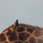 Julia Worth - @juliaworthphotography - Instagram