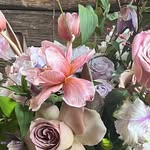 JWDesignFreelance - @juliawrendesign - Instagram