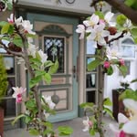 Julia Wurm - @landgasthofapfelblute - Instagram