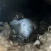 julian baum - @julian.baum2 - TikTok