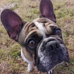 Julian Baumann - @julian.baumann.319 - Instagram