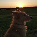 Julian Bender - @cycos54 - Instagram