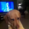 Julian Browne - @julian.browne8 - TikTok