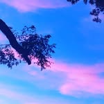 Julian Cramer - @julian.cramer.92 - Instagram