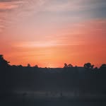 Julian Davidson - @canonjulz - Instagram