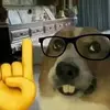Julian Driver - @julian.driver3 - TikTok