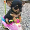 JulianDriver - @julian.driver - TikTok