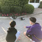 Julian Dunn - @julian_is_a_houmie - Instagram