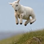 Julian Eldridge - @julian_eldridge - Instagram