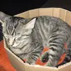 julian - @julian.field - TikTok