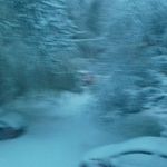 Julian Griffiths - @julian.griffiths.1088 - Instagram