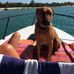 Julian Griffiths - Facebook