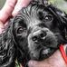 Julian Hyde - Facebook