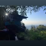 Julian Korbi - @juliankorbi - Instagram