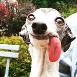Julian Kossits - @juliankossits - Instagram