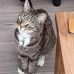 Julian Lammers - Facebook