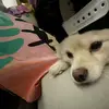 Julian Lemus - @julian.lemus09 - TikTok