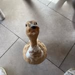 Julian Lundahl - @julianlundahl - Instagram