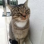 Julian Maier - @julian7406 - Instagram