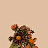 julian.march2 - @julian.march2 - TikTok