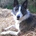 Julian Masters - @julian.masters.5 - Instagram