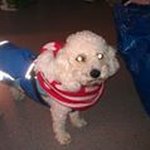Julian Maxwell - @maxwell.julian - Instagram