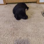 Julian McClellan - @mcclellan_julian - Instagram
