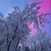 juliannagy8 - @juliannagy8 - TikTok