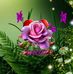 Julian Nicholson - Facebook