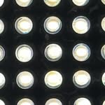 Julian Nicholson - @joepasture - Instagram
