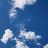 ott_julian987 - @ott_julian987 - TikTok