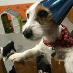 Julian Packer - @packerjulian - Instagram