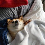 Julian Quesada - @_julian_quesada_ - Instagram