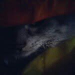 Julian - @julian_richter - Instagram