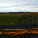 julian ringelmann - @julianringelmann - Instagram