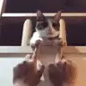 Julian Sander - @juliansander4 - TikTok