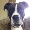 Julian Sharp - @juliansharp2 - TikTok