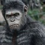 Julian Simms - @joolsmonkeyboy16 - Instagram