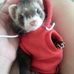 Julian Simms - Facebook