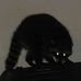 Julian Simms - Facebook