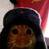 nosequeponer - @juliansoto6862 - TikTok