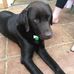 Julian Sutton - Facebook