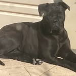 Julian Sutton - @julian.sutton.71 - Instagram