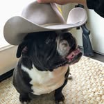Julian Torrez - @julian_torrez46 - Instagram