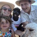 Julian Walsh - @jttwalsh - Instagram