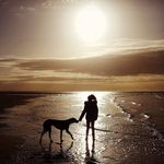 Julian Walsh - @_julianwalsh - Instagram