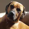 julianwalsh58 - @julianwalsh58 - TikTok
