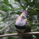 Julian Warner - @jw.natureshots - Instagram