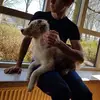 Julian Warner - @julianwarner5 - TikTok